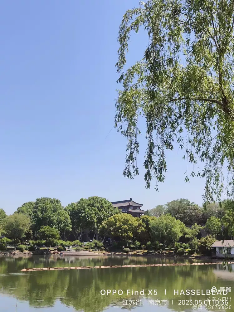 休闲打卡地,下关"小桃园″.